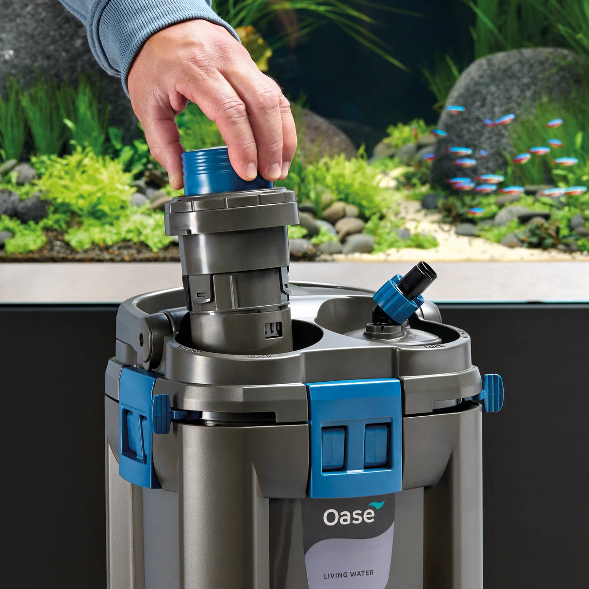 OASE BioMaster 2 Thermo Series