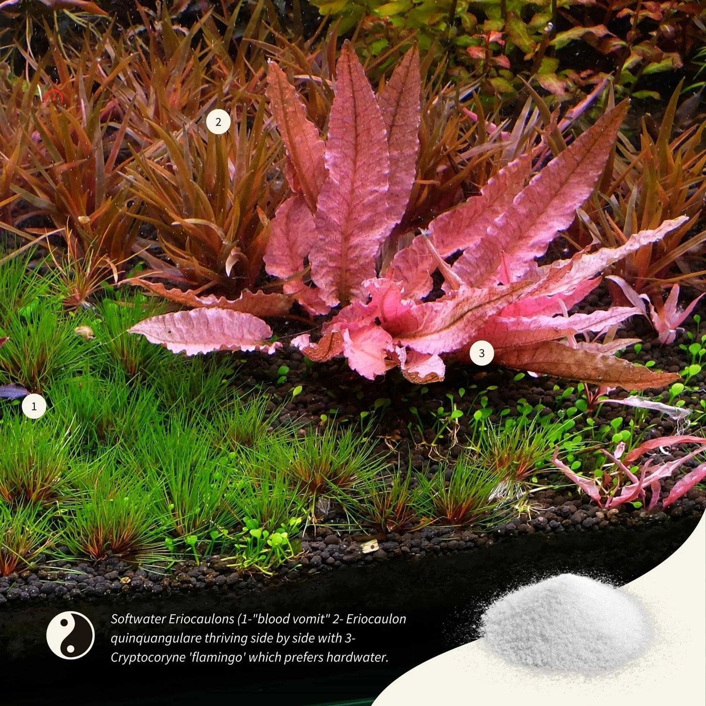 APT Sky - Remineralizer by 2Hr Aquarist (150g) - Planted Aquaria