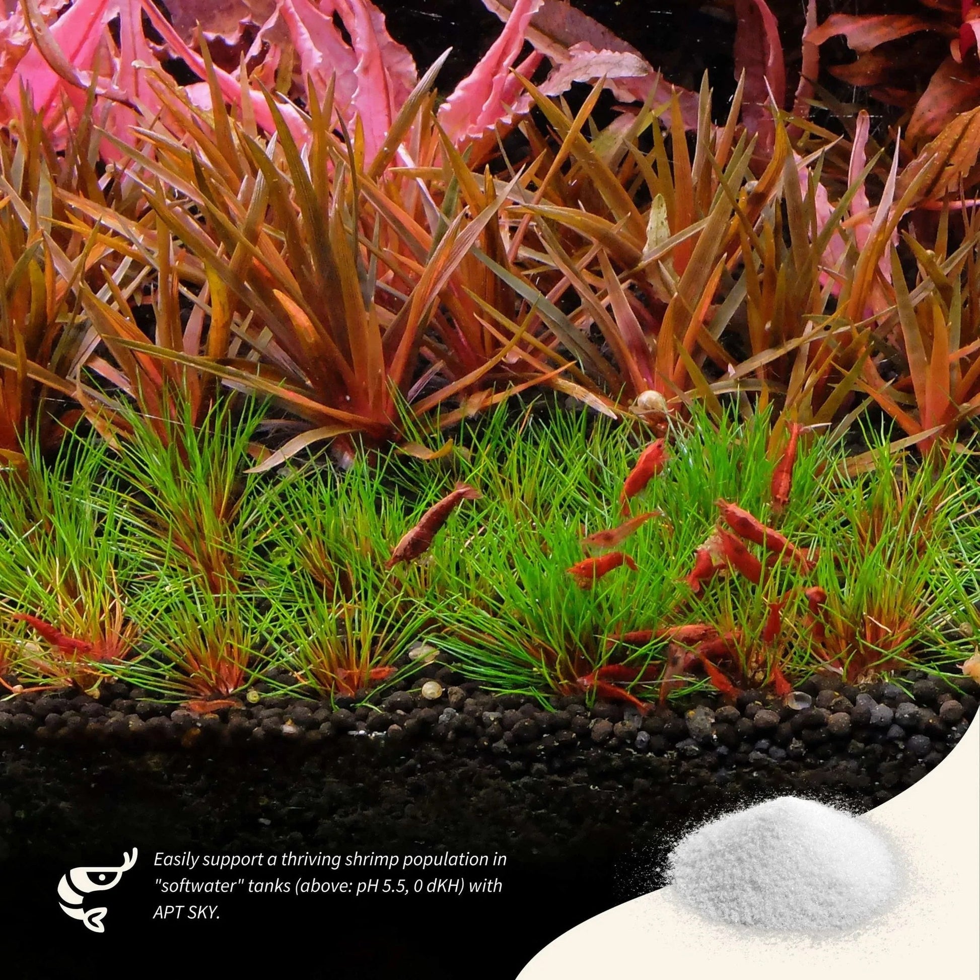 APT Sky - Remineralizer by 2Hr Aquarist (150g) - Planted Aquaria