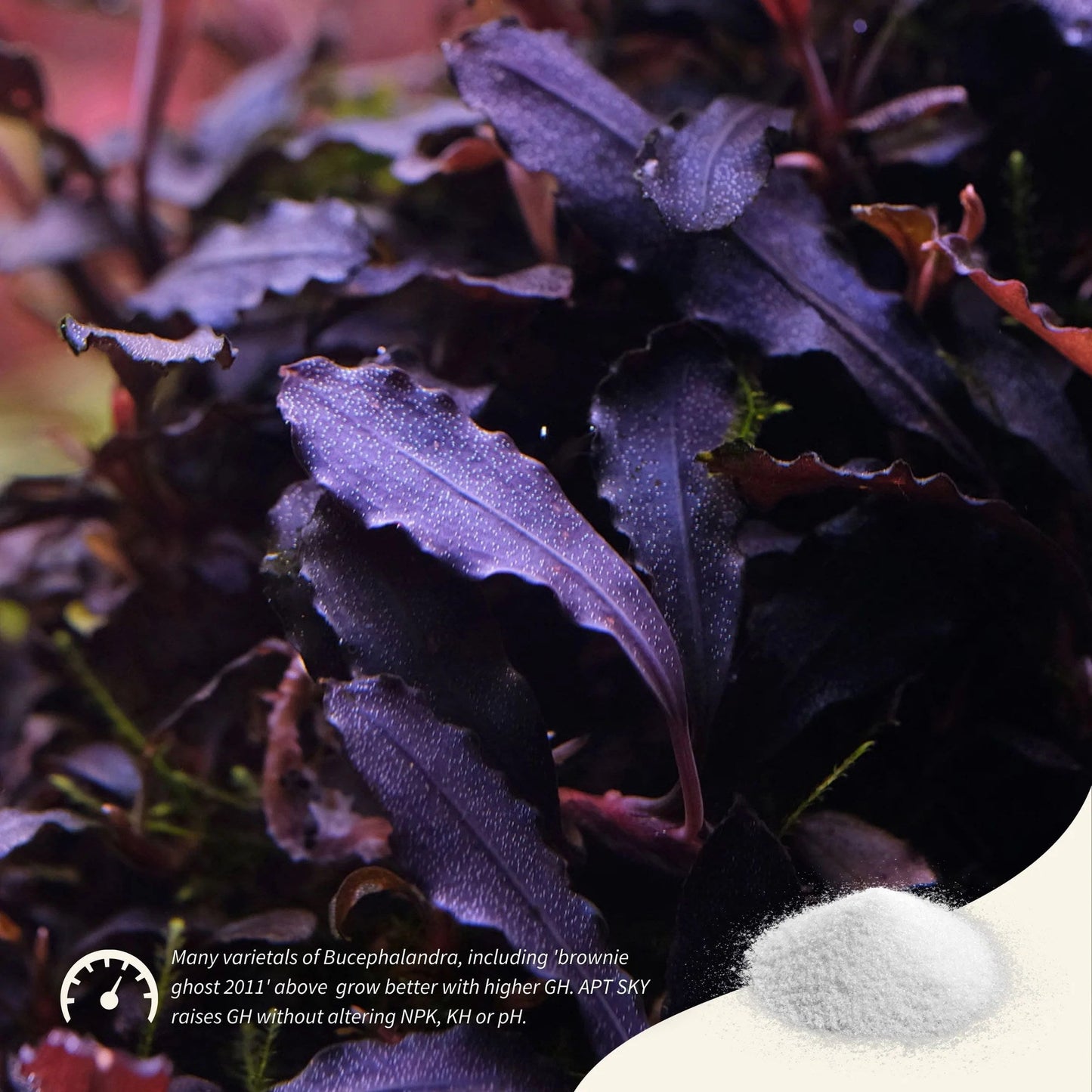 APT Sky - Remineralizer by 2Hr Aquarist (150g) - Planted Aquaria