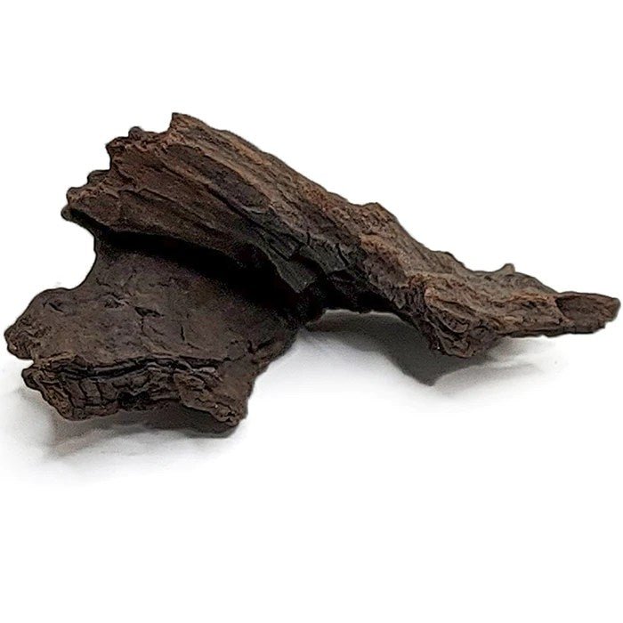 Aquaglobe Blackwood L (14 - 16") - Planted Aquaria