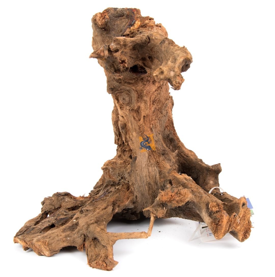 AquaGlobe Mangrove Wood XL (14" - 18") - Planted Aquaria