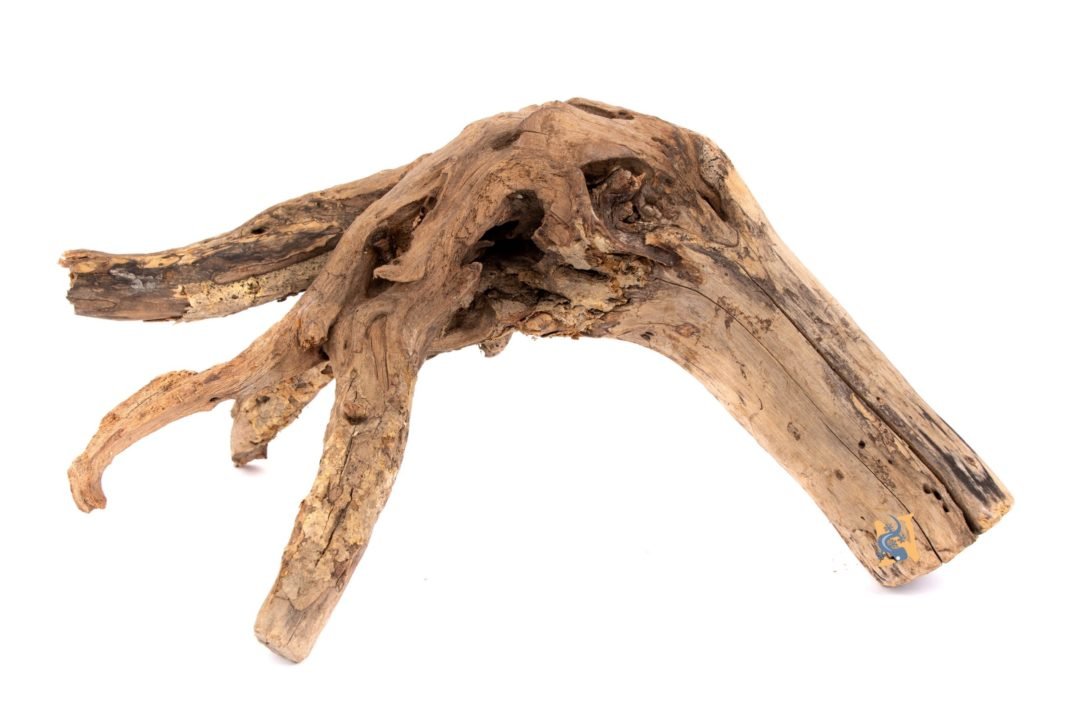 Aquaglobe Nakawood S (6 - 8") - Planted Aquaria