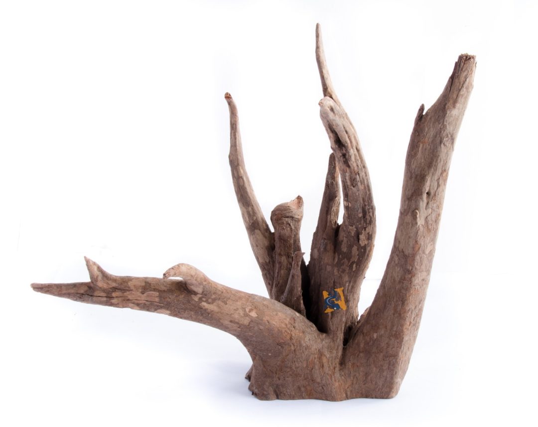 Aquaglobe Sabawood Small (6 - 9") - Planted Aquaria