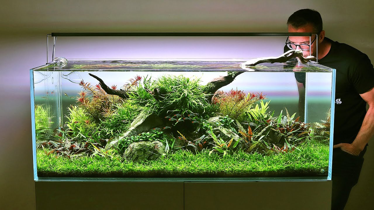 Aquascape Workshop - George Farmer - Planted Aquaria
