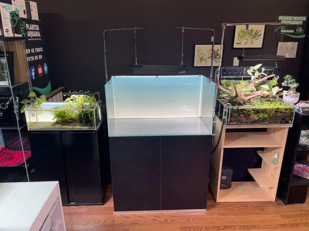Aquascape Workshop - George Farmer - Planted Aquaria