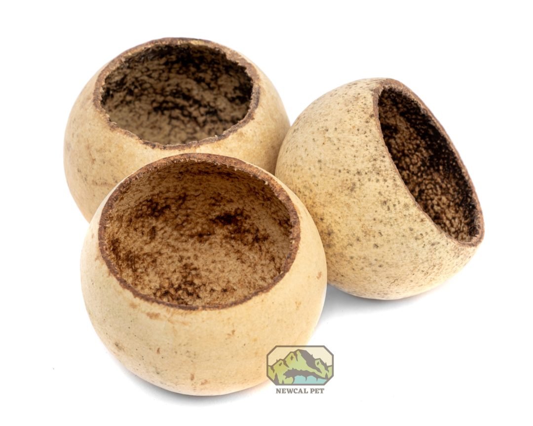 Bell Cups - 3 Pack - Planted Aquaria