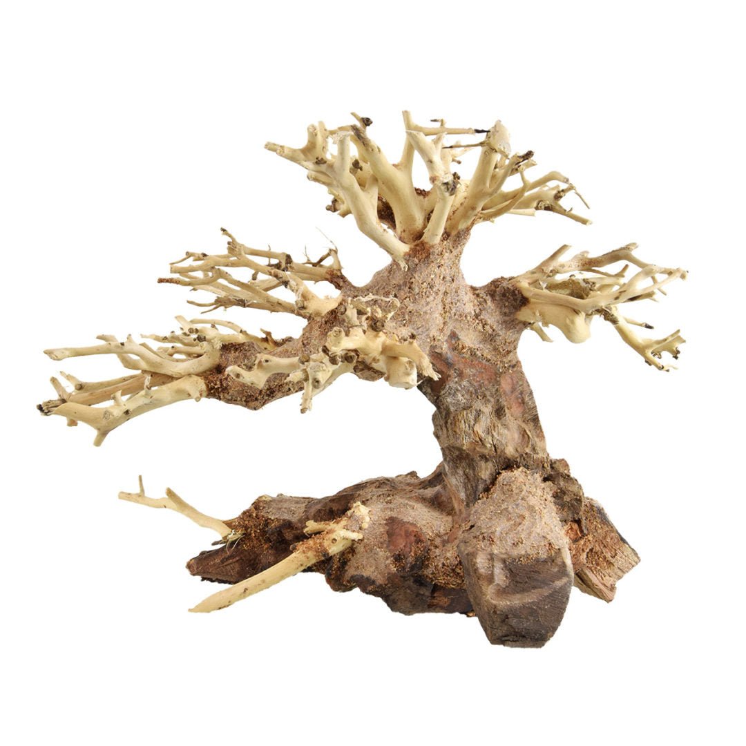 Bonsai Wood - XX - Small - Planted Aquaria