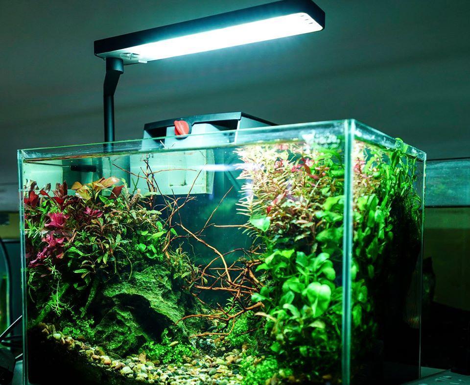 Chihiros CII Swivel LED Light for Nano Tanks - Planted Aquaria