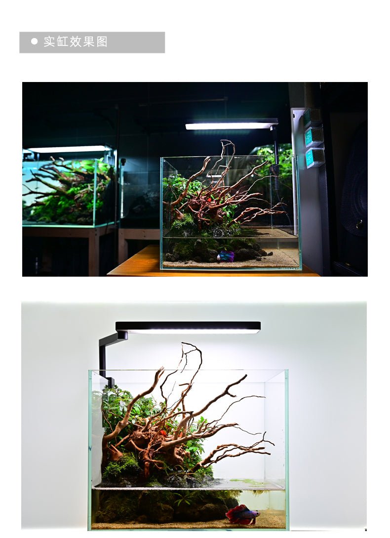 Chihiros CII Swivel LED Light for Nano Tanks - Planted Aquaria