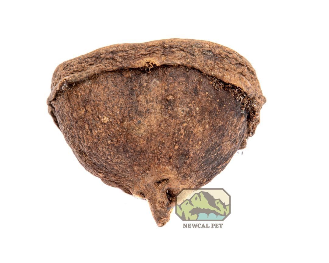 Mini Monkey Pods - 1oz. - Planted Aquaria