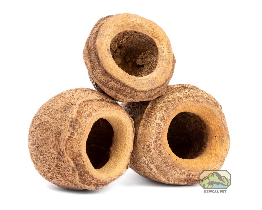 Mini Monkey Pot (2 - Pack) - Planted Aquaria