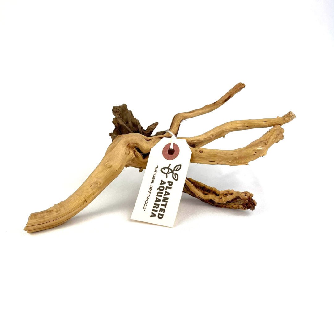 Natural Driftwood - Planted Aquaria