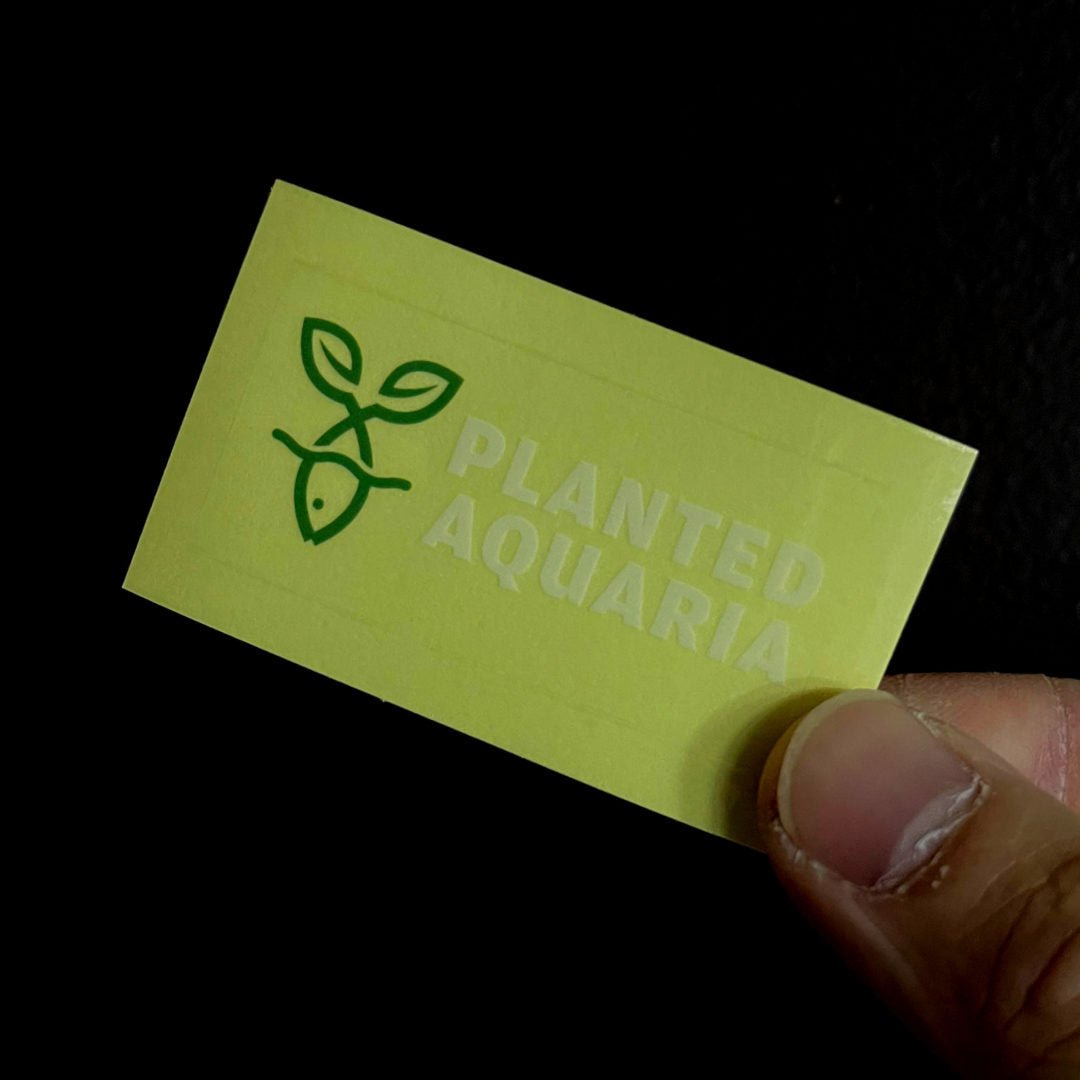 Planted Aquaria Clear Stickers - Planted Aquaria