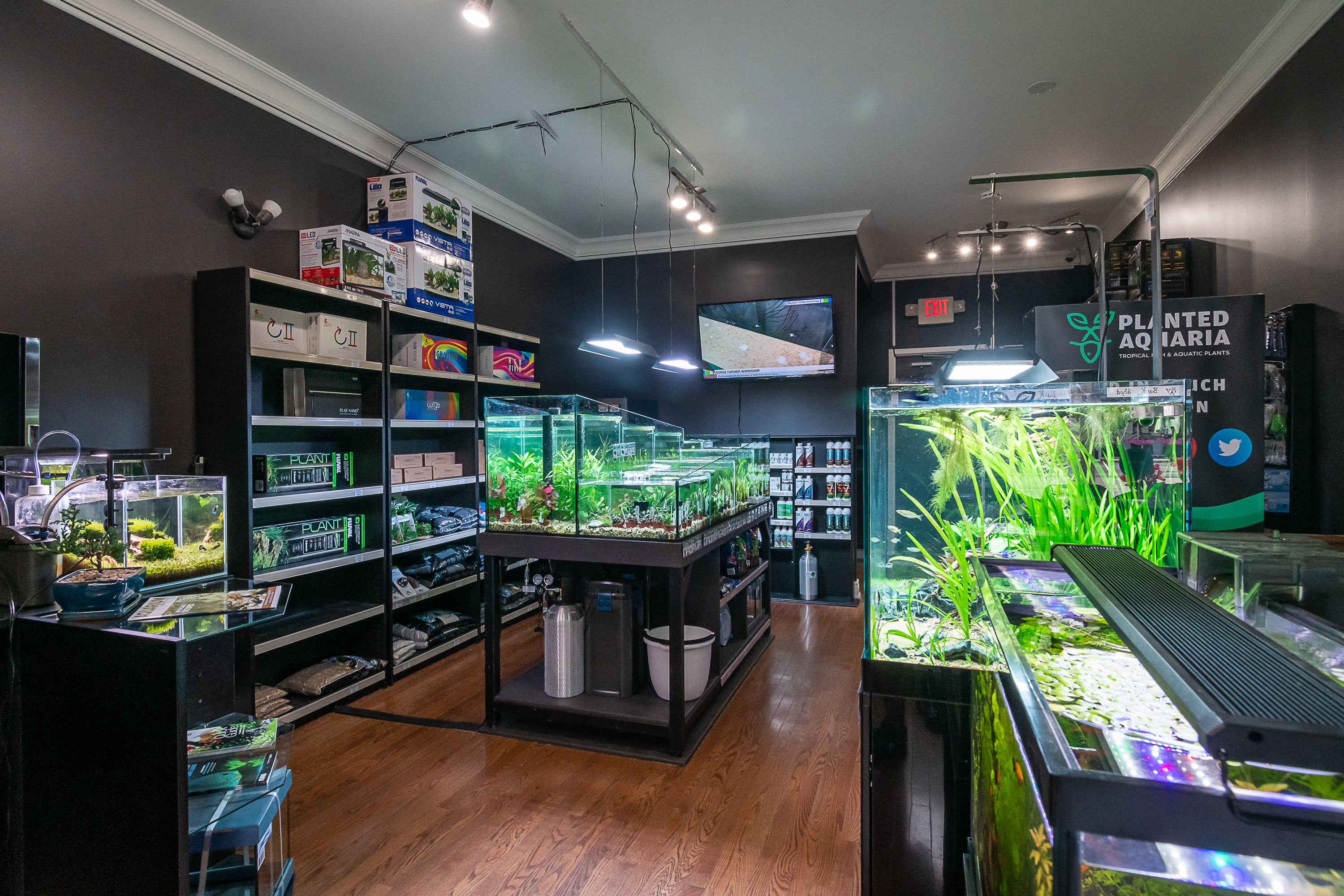 Interior of a aquarium shop featuring multiple planted tanks, shelves stacked with supplies, and a TV displaying aquatic content.