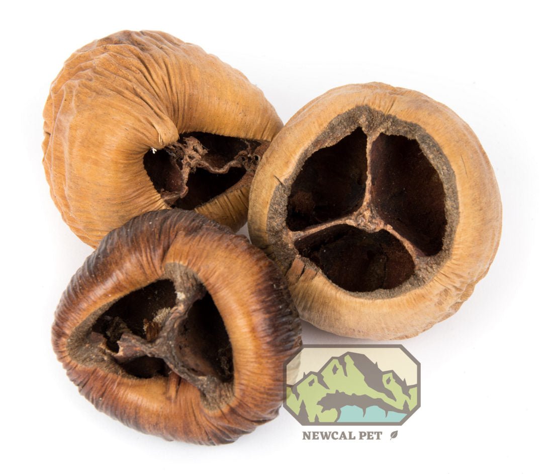 Talami Natural - 3 Pack - Planted Aquaria