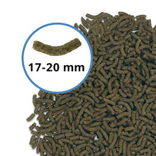 Fluval Pleco Formula Bug Bites Bottom Feeder