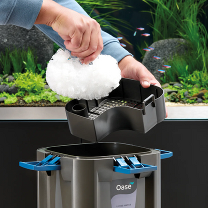 OASE BioMaster 2 Thermo Pro