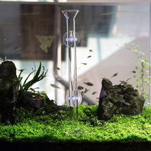 Acrylic Shrimp Feeder Tube & Tray 35cm - Planted Aquaria