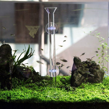 Acrylic Shrimp Feeder Tube & Tray 35cm - Planted Aquaria