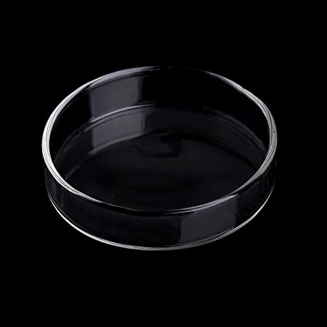 Acrylic Shrimp Feeder Tube & Tray 35cm - Planted Aquaria