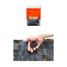 ADA Aqua Soil - Amazonia Ver.2 - Planted Aquaria