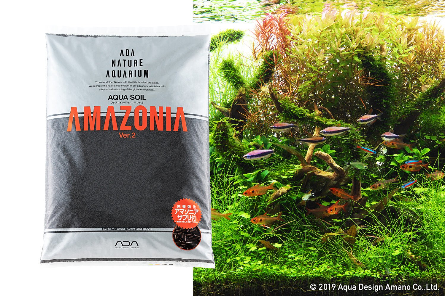 ADA Aqua Soil - Amazonia Ver.2 - Planted Aquaria