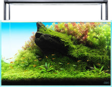 ADA Aquasky RGB II 60 - Planted Aquaria