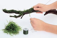 ADA Moss Cotton - Planted Aquaria