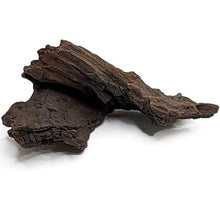 Aquaglobe Blackwood XS (4 - 6") - Planted Aquaria