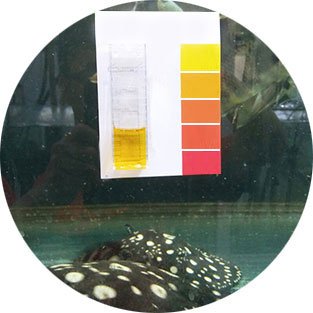 Aquario Neo V (Water Conditioner + Minerals) 300ml - Planted Aquaria
