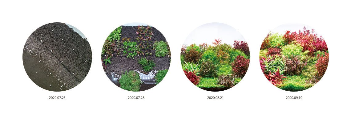 Aquario Powdered Neo Soil for Plants - Planted Aquaria