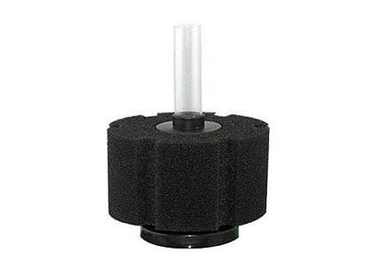 Aquarium Sponge Filters - Planted Aquaria