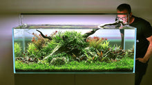 Aquascape Workshop - George Farmer - Planted Aquaria
