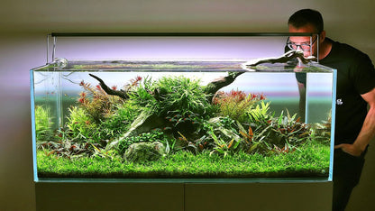 Aquascape Workshop - George Farmer - Planted Aquaria