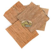 Banana Leaf Section (5x5") (10 - Pack) - Planted Aquaria