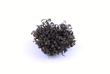 Bucephalandra 'Kedagang' - Tropica TC - Planted Aquaria