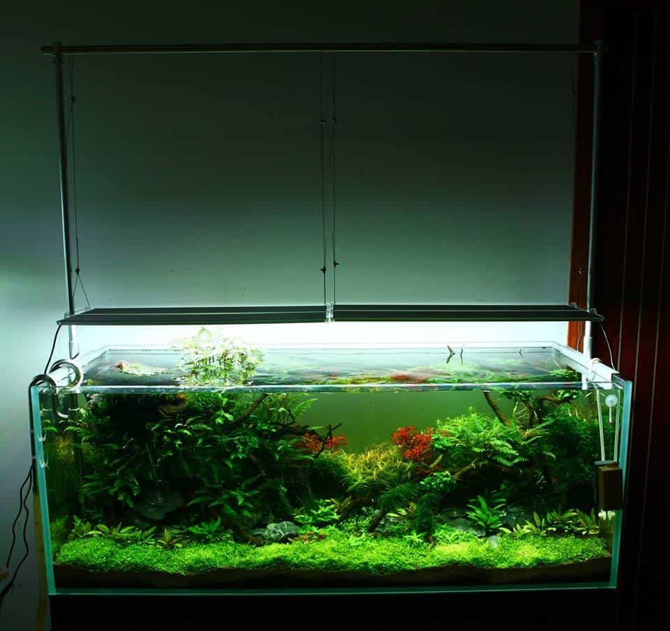hanging lights for planted aquarium Chihiros Aluminum Alloy Light Hanging Stand - Planted Aquaria
