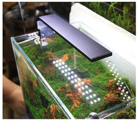 Chihiros C - Series LED Light for Nano Tanks - Planted Aquaria