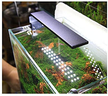 Chihiros C - Series LED Light for Nano Tanks - Planted Aquaria