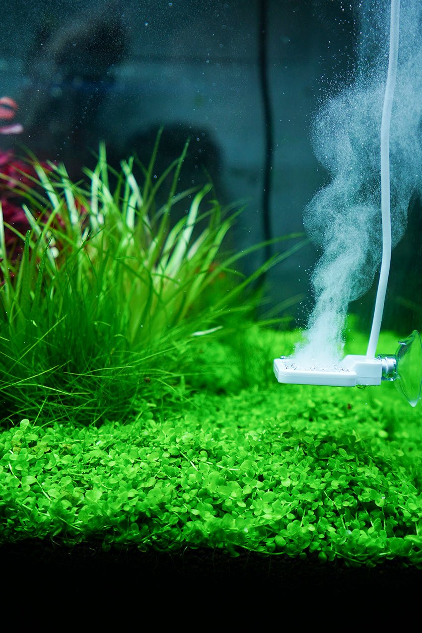 Chihiros Doctor Mate with Bluetooth - Planted Aquaria
