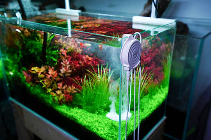 Chihiros Doctor Mate with Bluetooth - Planted Aquaria