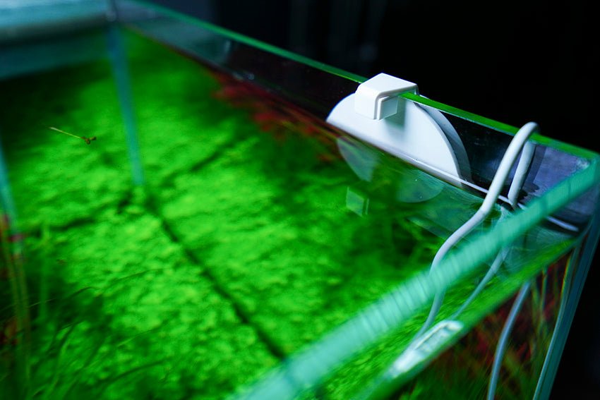 Chihiros Doctor Mate with Bluetooth - Planted Aquaria