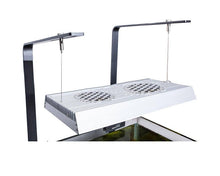 Chihiros New Stand for RGB Vivid I/II and WRGB Series - Planted Aquaria
