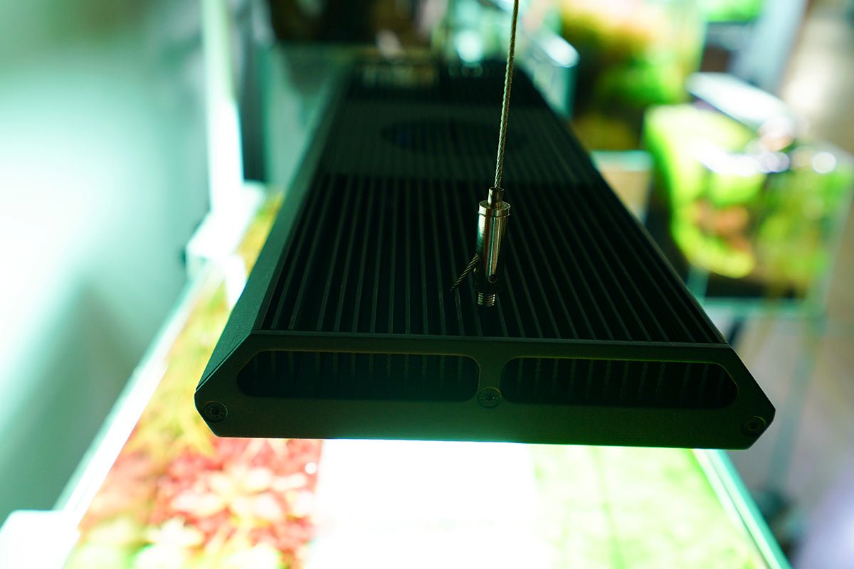 Chihiros RGB Vivid - II 10th Anniversary Edition (Black) - Planted Aquaria