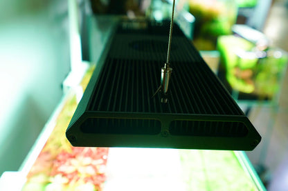 Chihiros RGB Vivid - II 10th Anniversary Edition (Black) - Planted Aquaria