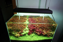 Chihiros RGB Vivid - II (Silver) - Planted Aquaria