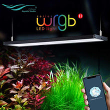 Chihiros WRGB - II LED Light 10th Anniversary Edition - Planted Aquaria