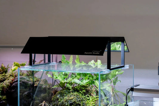 Chihiros Mirrored Shade for WRGB-II Pro