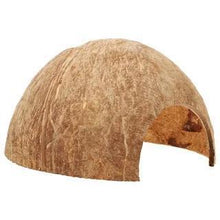 Coconut Half Shell Cave - Planted Aquaria